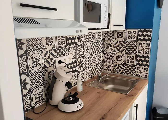 Plein Centre Apartment Cauterets